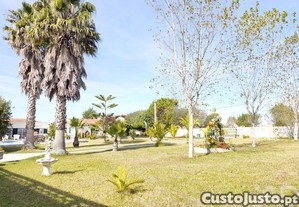 imagem_32