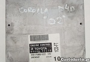 imagem_1