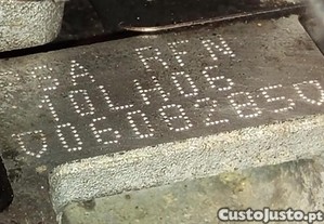imagem_11