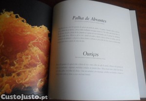imagem_9