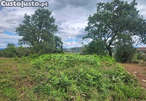 Terreno rustico