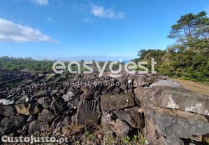 Terreno No 'Coração' Vitivinícola Do Lajido De...