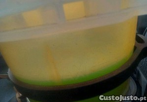 imagem_8