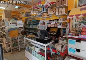 imagem_3