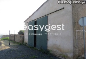 imagem_20