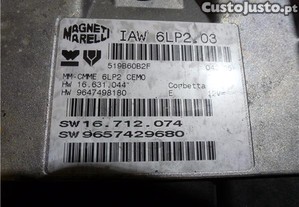 imagem_2