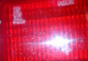 imagem_6