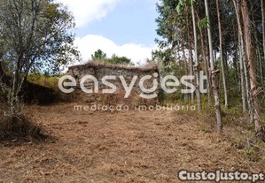 imagem_16