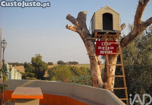 imagem_15