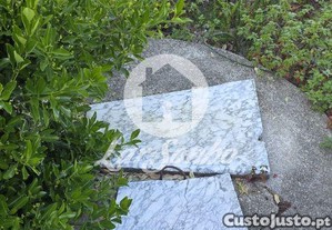 imagem_14