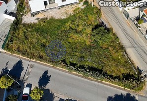 imagem_15