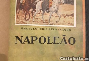 imagem_1