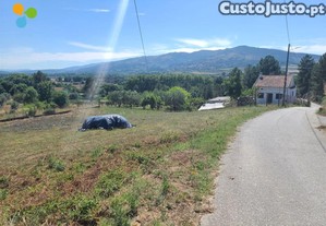 imagem_11
