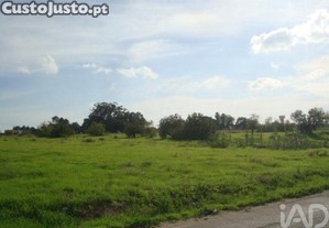 imagem_10