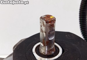 imagem_12