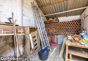 imagem_4