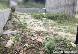 imagem_7