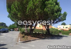 imagem_23