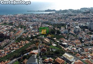 imagem_13