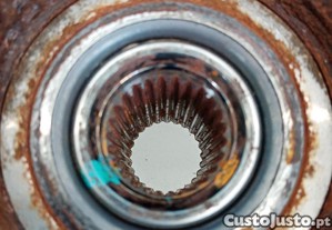imagem_5