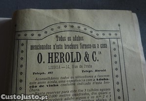 imagem_4