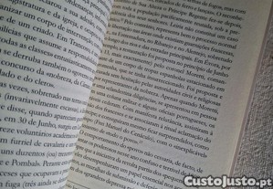 imagem_6