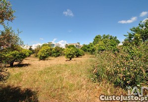 imagem_6