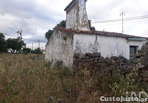 imagem_7