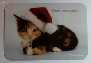 imagem_6