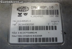 imagem_3