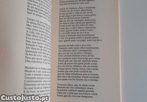 imagem_8