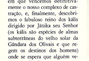 imagem_8