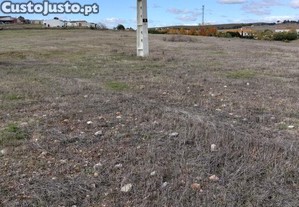 Terreno Agrícola em Baleizão