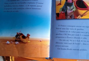 imagem_4