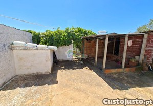 imagem_15