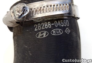 imagem_10