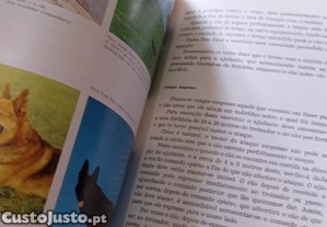 imagem_7