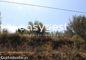 imagem_9