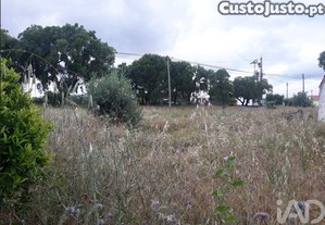 imagem_9