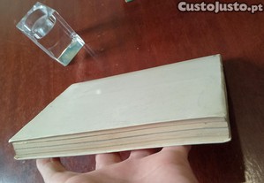 imagem_10