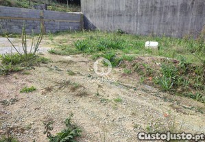 imagem_11