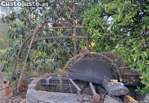 imagem_1
