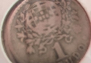 imagem_8