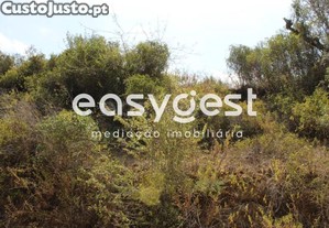 imagem_7