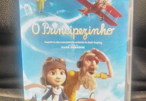 imagem_11