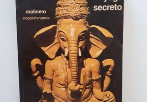 Raja yoga secreto