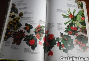 imagem_8