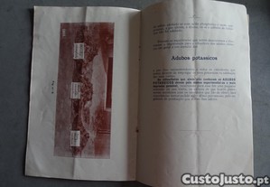 imagem_6