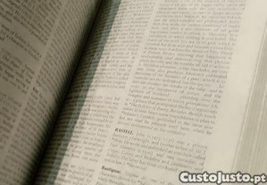 imagem_6