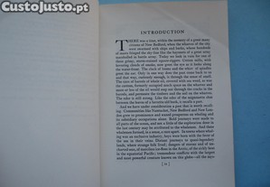 imagem_4
